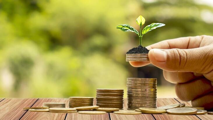 Socially Accountable Investing 101: Is It Potential?